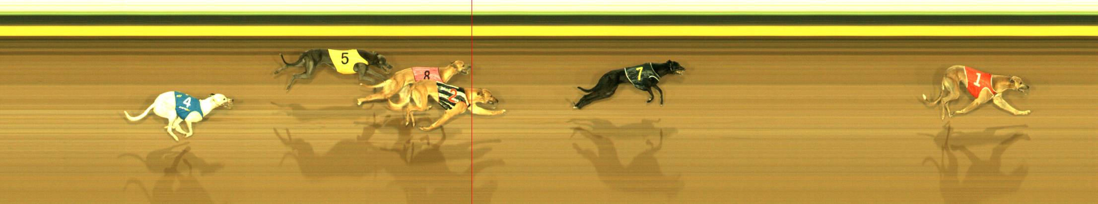 Photo finish for Sandown Race 3