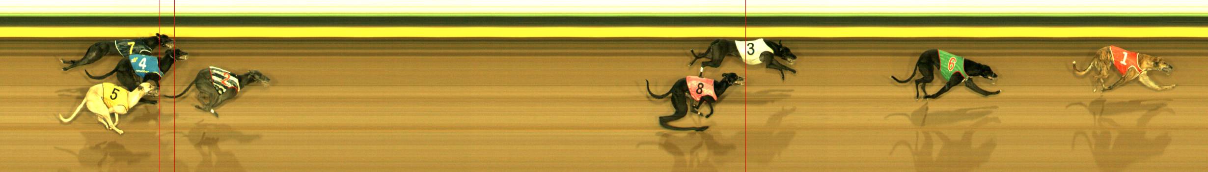 Photo finish for Sandown Race 5
