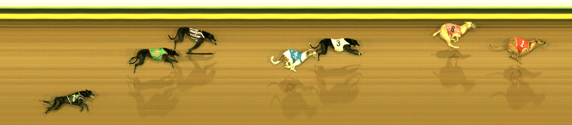 Photo finish for Sandown Race 7