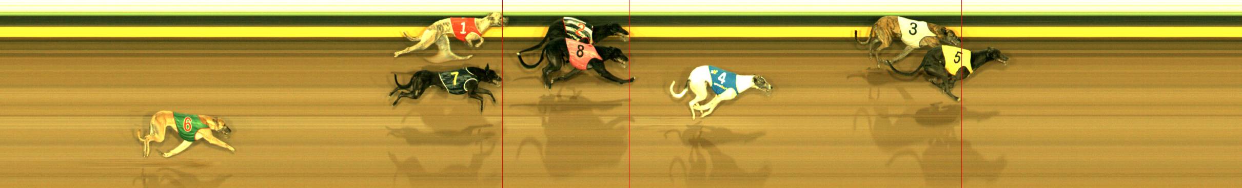 Photo finish for Sandown Race 9