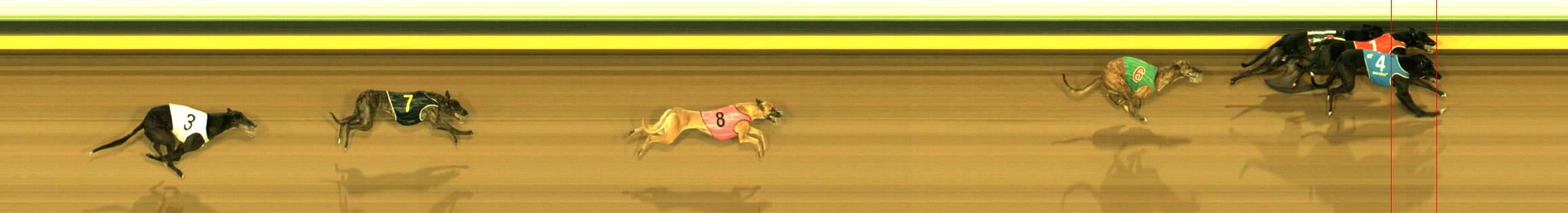 Photo finish for Sandown Race 10