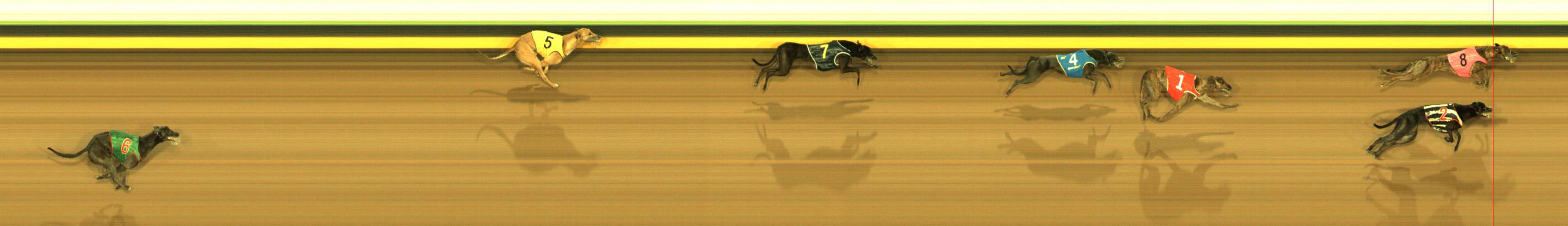 Photo finish for Sandown Race 11
