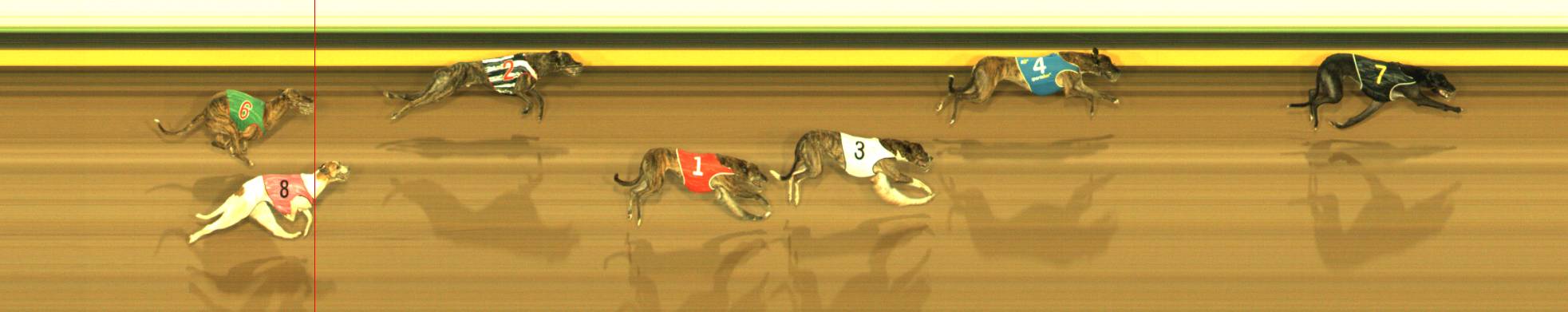 Photo finish for Sandown Race 12