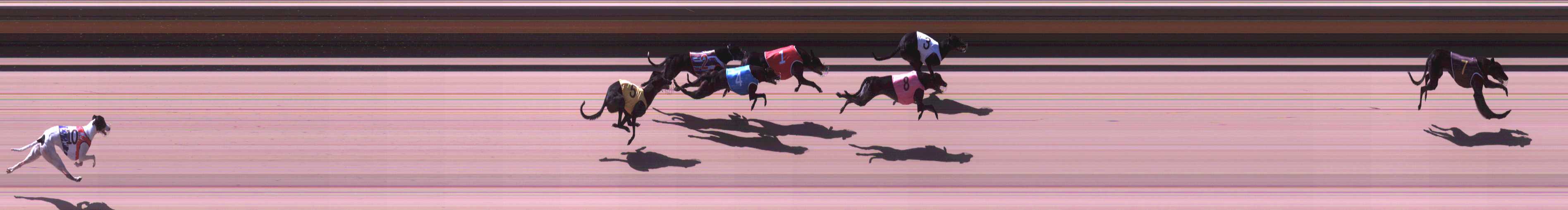 Photo finish for Shepparton Race 2