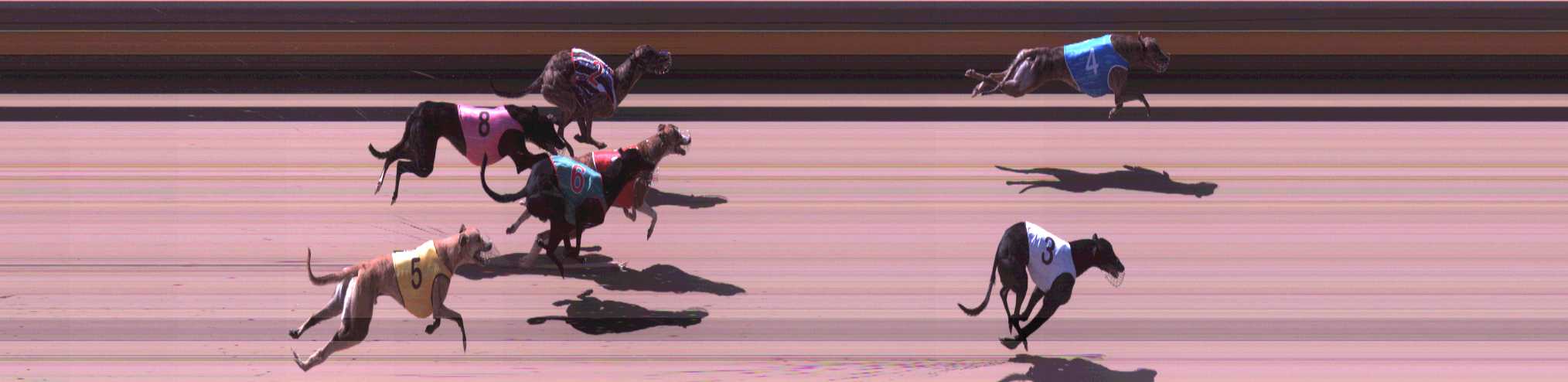 Photo finish for Shepparton Race 3
