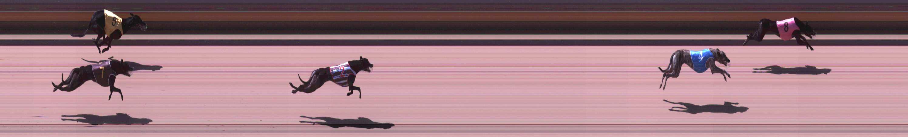 Photo finish for Shepparton Race 4