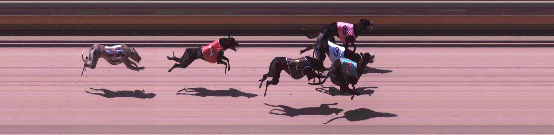 Photo finish for Shepparton Race 5
