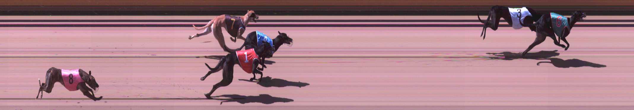 Photo finish for Shepparton Race 6