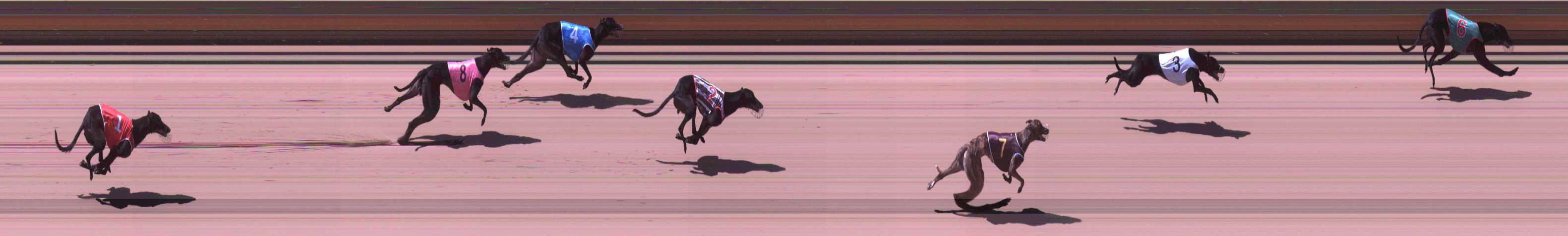 Photo finish for Shepparton Race 7
