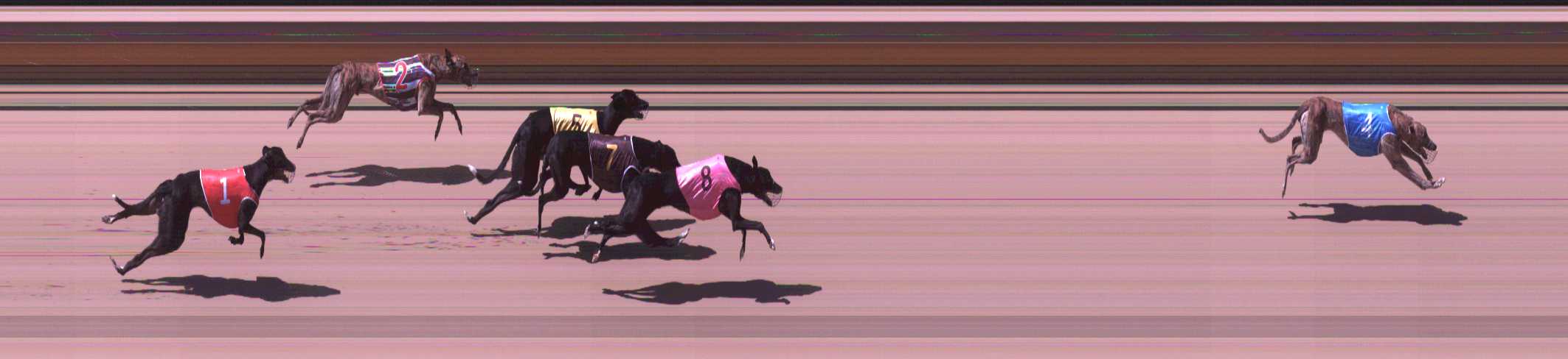Photo finish for Shepparton Race 9