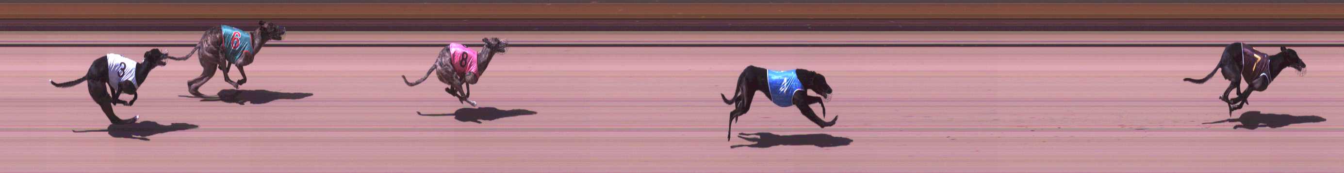 Photo finish for Shepparton Race 10