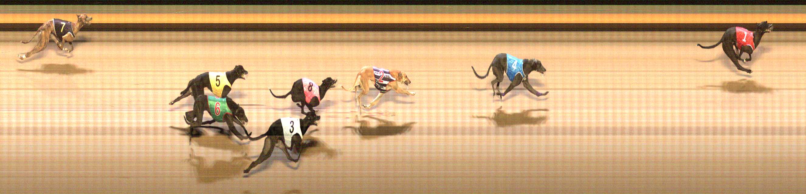 Photo finish for Shepparton Race 11