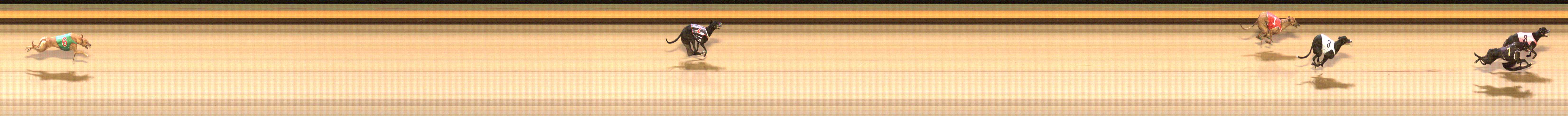 Photo finish for Shepparton Race 6