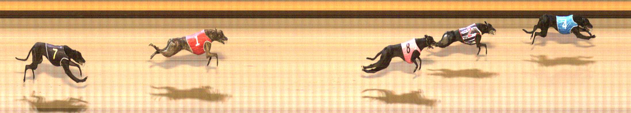 Photo finish for Shepparton Race 7