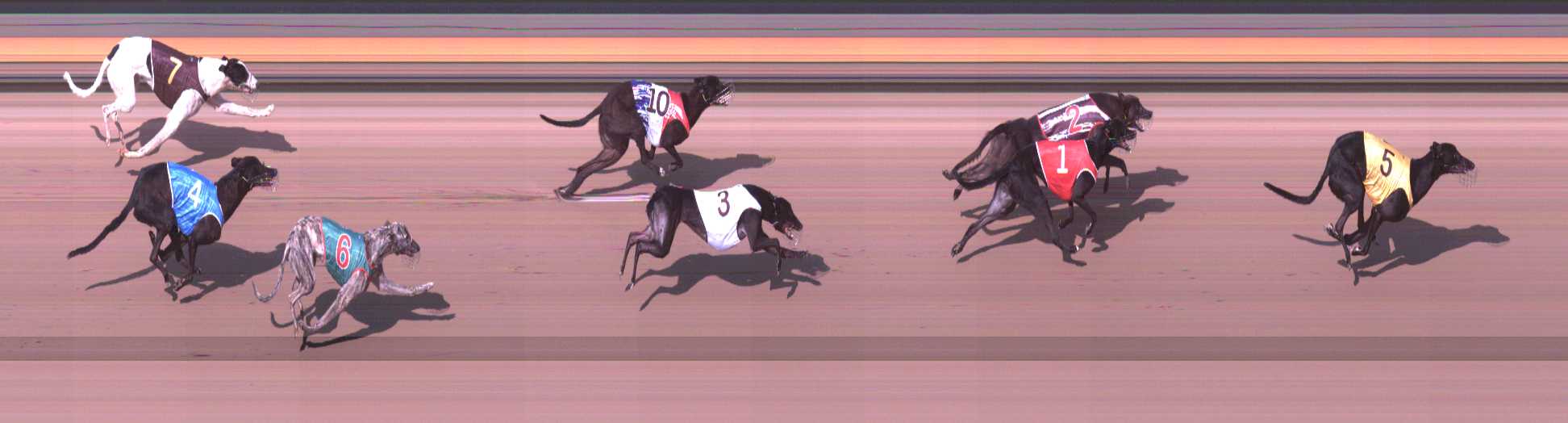 Photo finish for Shepparton Race 2