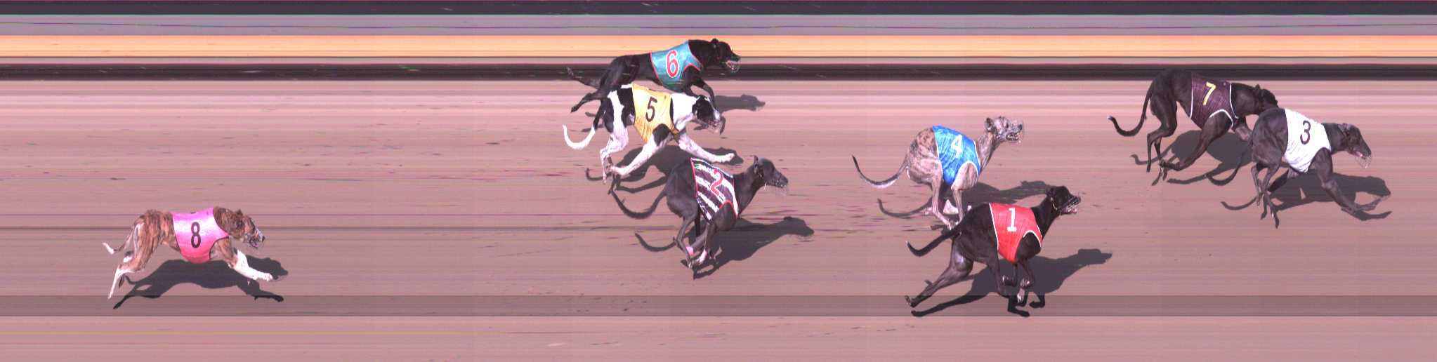 Photo finish for Shepparton Race 3