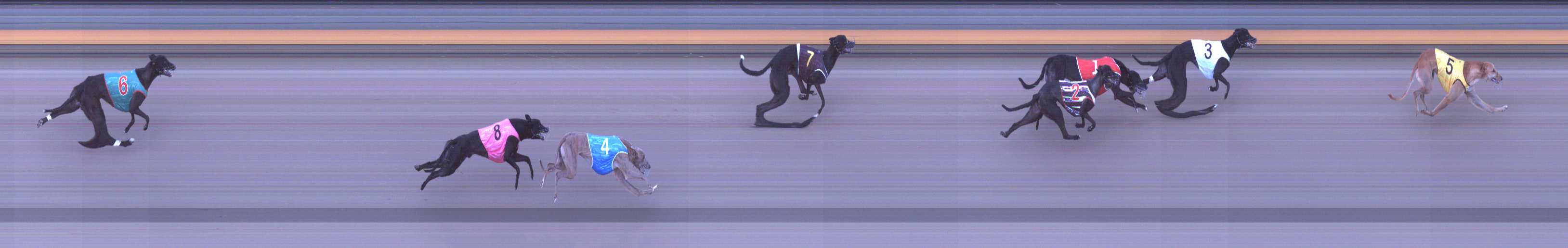 Photo finish for Shepparton Race 6