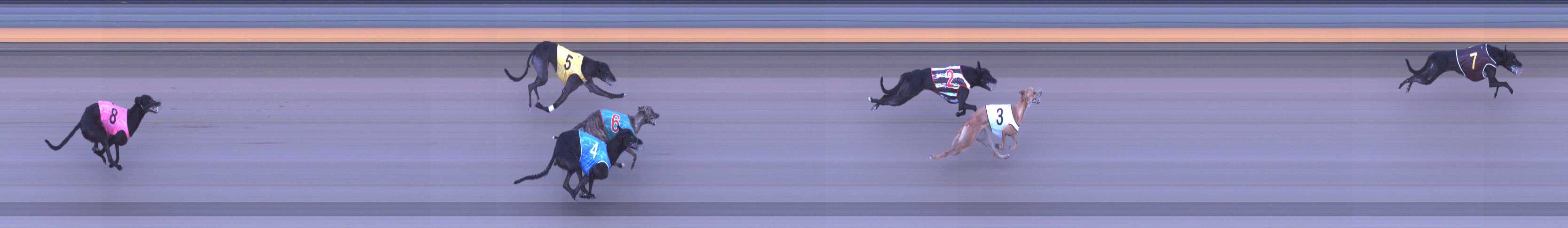 Photo finish for Shepparton Race 7