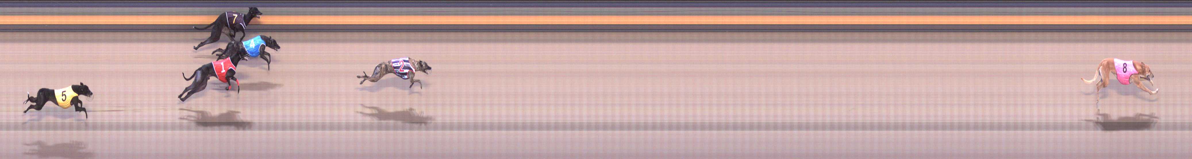 Photo finish for Shepparton Race 3