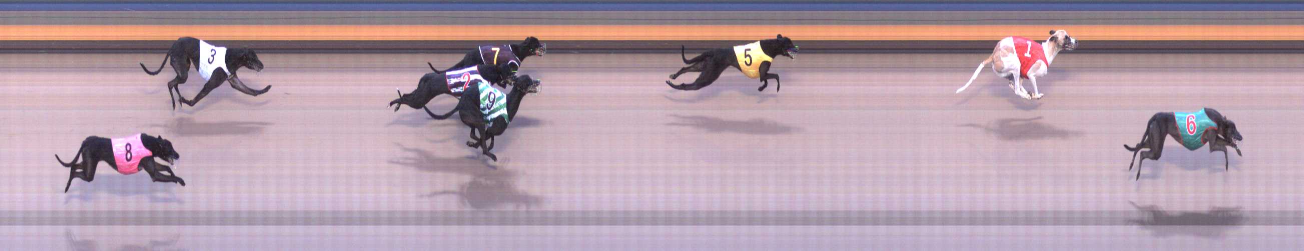 Photo finish for Shepparton Race 4