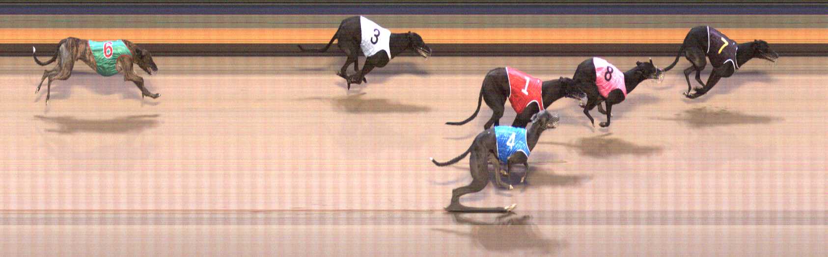 Photo finish for Shepparton Race 5