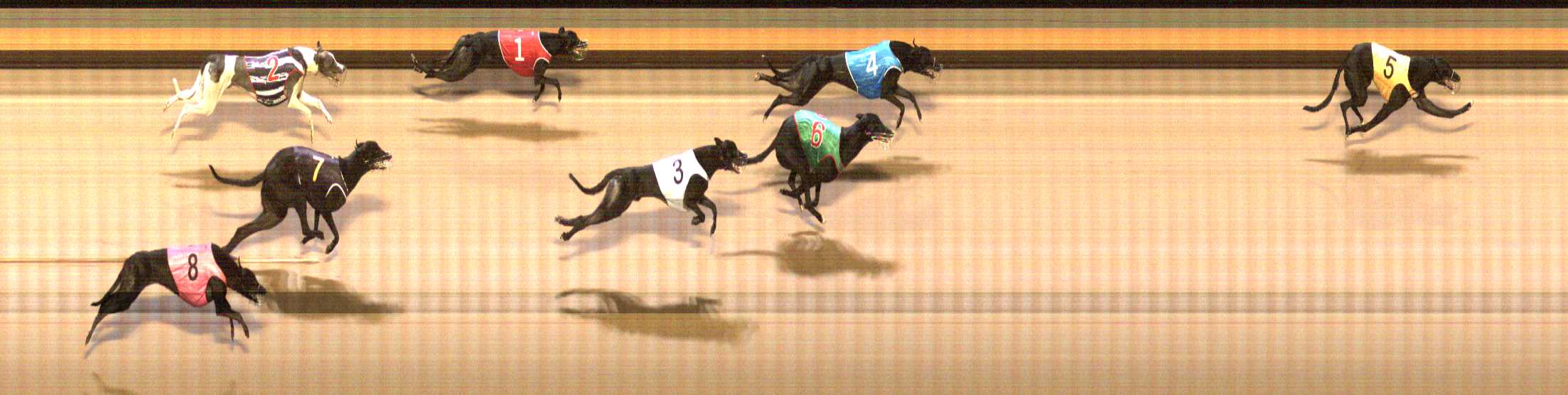 Photo finish for Shepparton Race 7