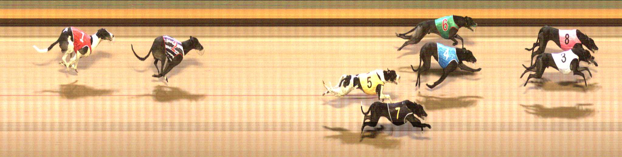Photo finish for Shepparton Race 8