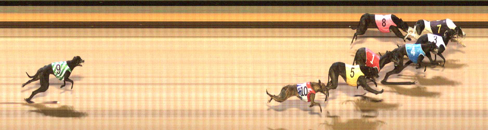 Photo finish for Shepparton Race 9