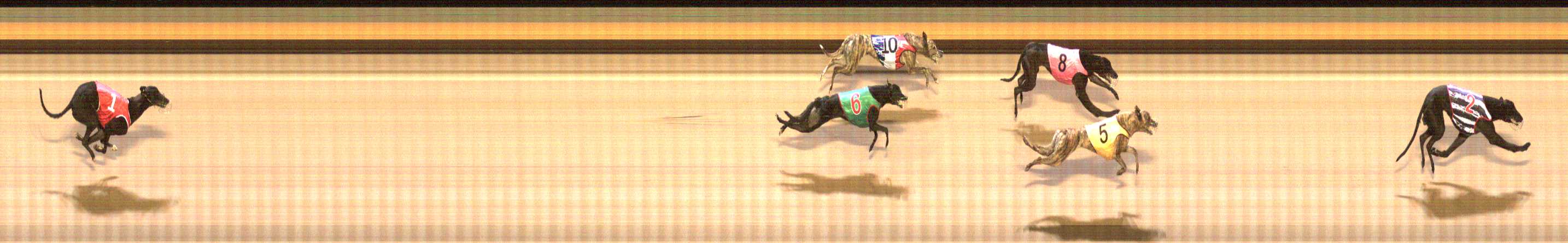 Photo finish for Shepparton Race 10