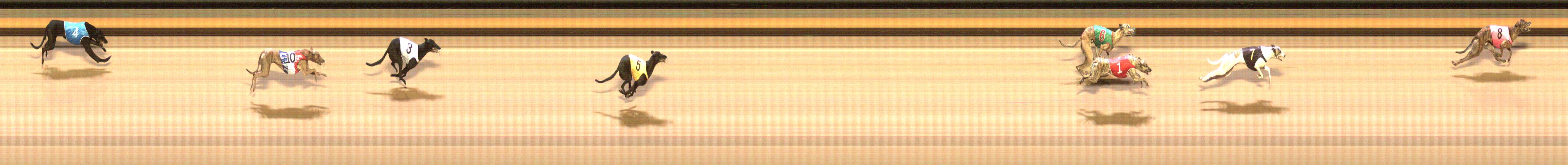Photo finish for Shepparton Race 11