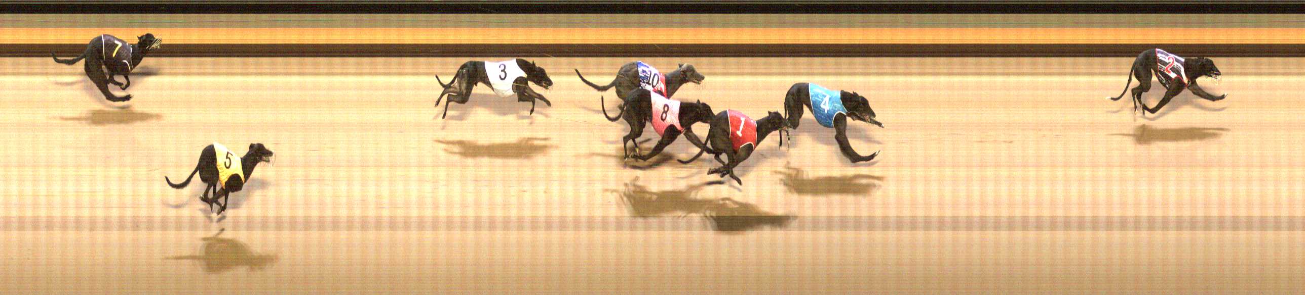 Photo finish for Shepparton Race 12