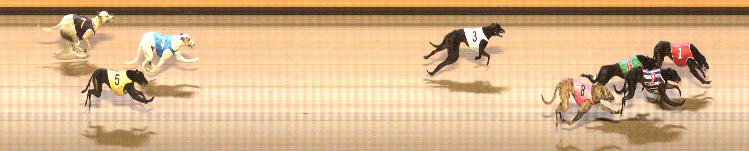 Photo finish for Shepparton Race 3