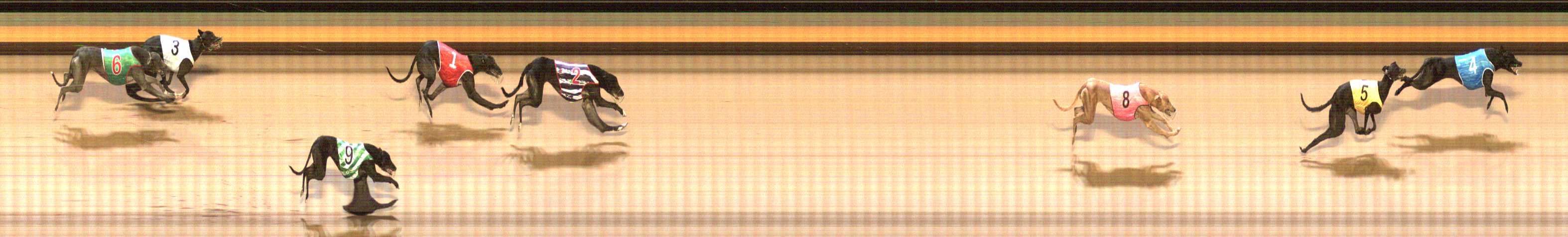 Photo finish for Shepparton Race 5