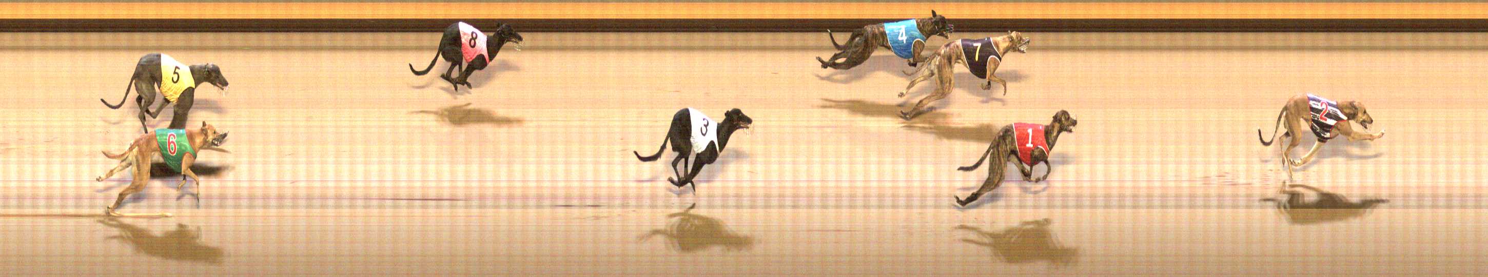 Photo finish for Shepparton Race 7
