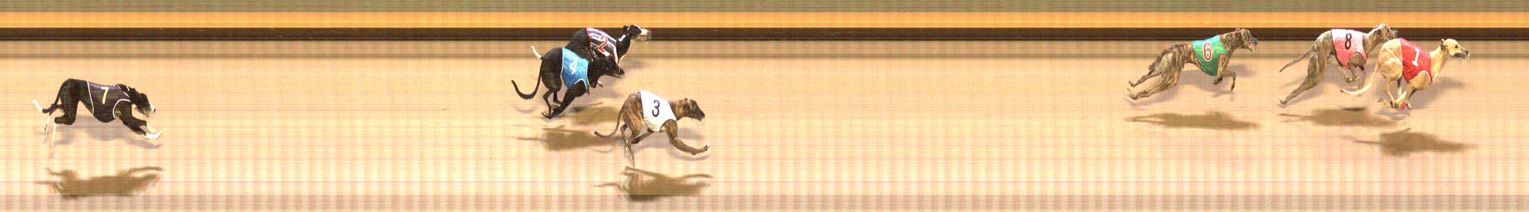 Photo finish for Shepparton Race 8