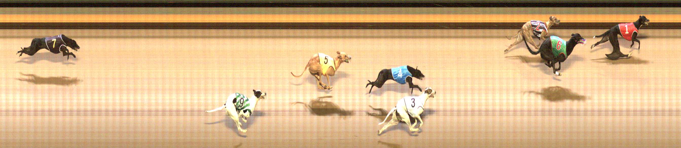 Photo finish for Shepparton Race 9