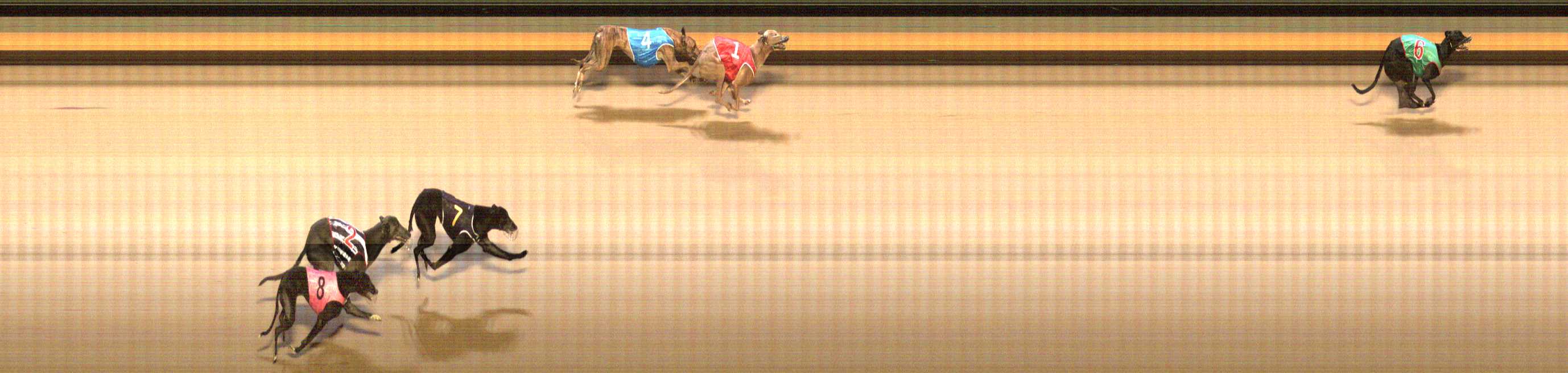 Photo finish for Shepparton Race 10