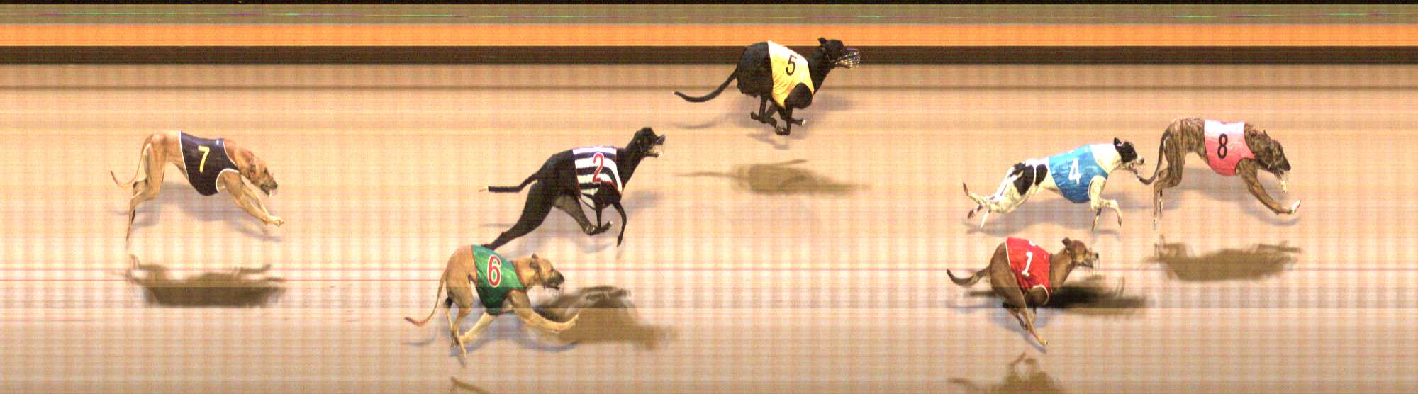 Photo finish for Shepparton Race 10