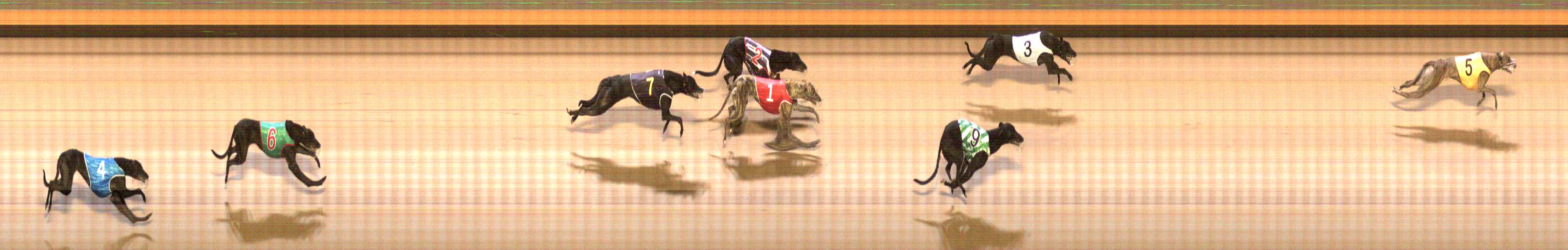 Photo finish for Shepparton Race 12