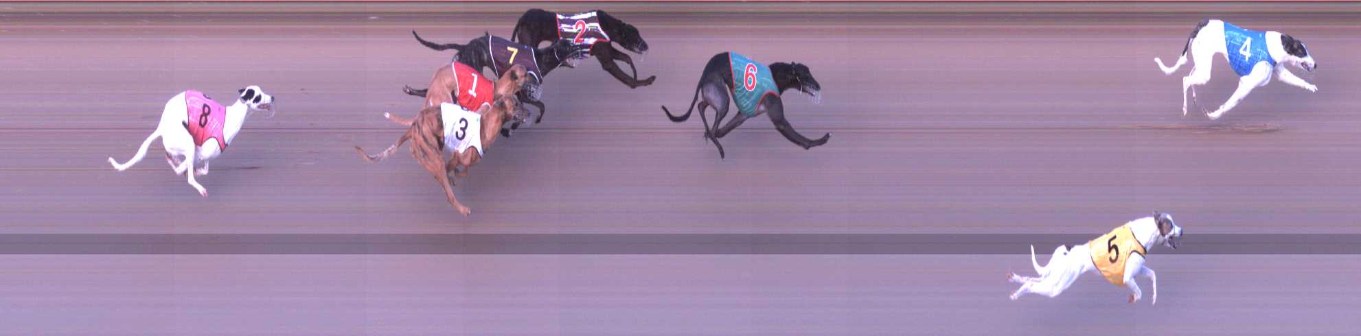 Photo finish for Shepparton Race 3