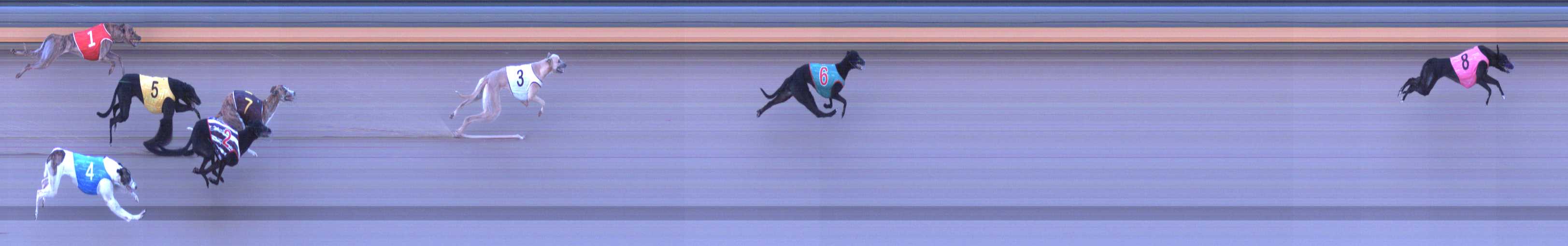 Photo finish for Shepparton Race 4