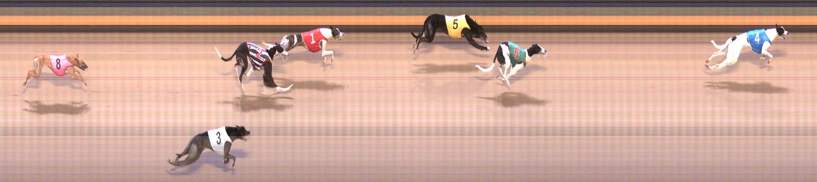 Photo finish for Shepparton Race 7