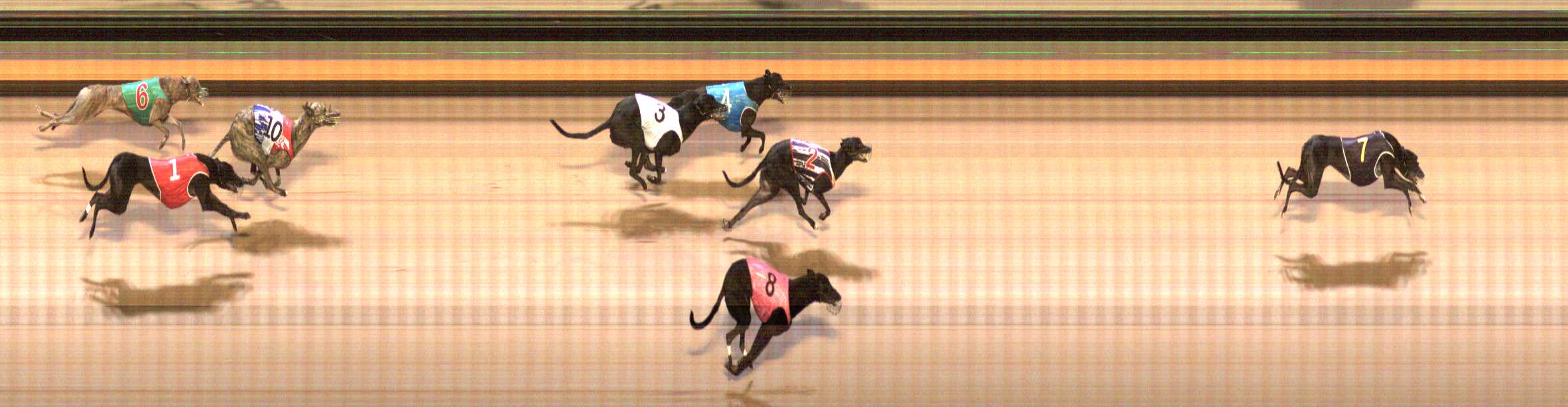 Photo finish for Shepparton Race 8