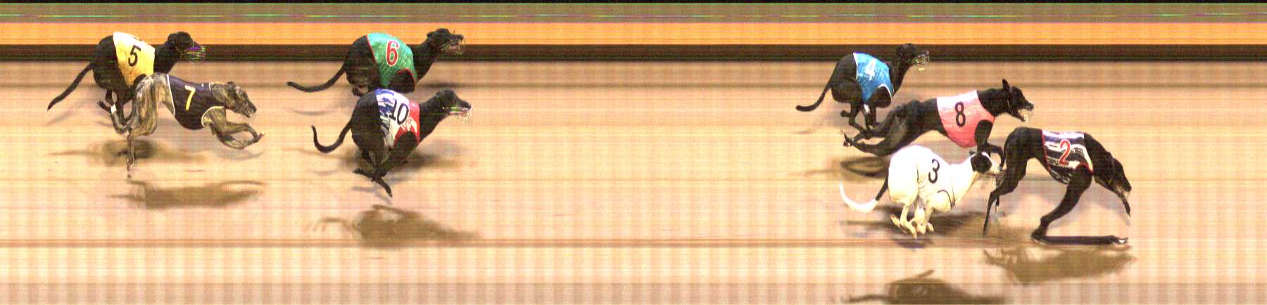 Photo finish for Shepparton Race 11
