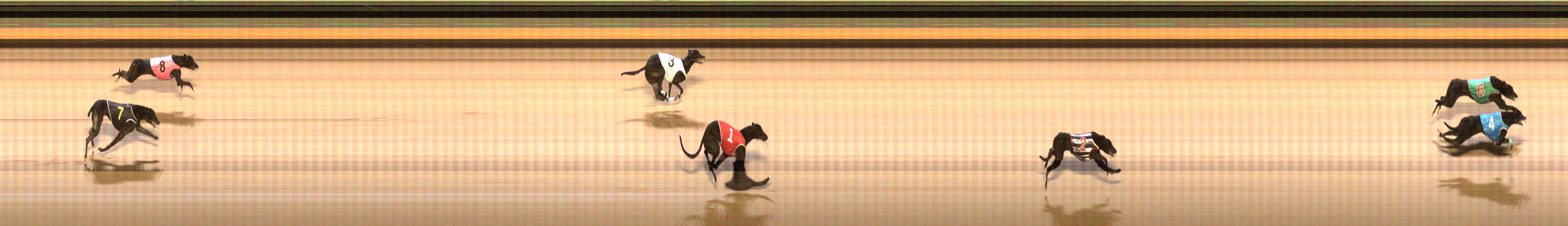 Photo finish for Shepparton Race 12