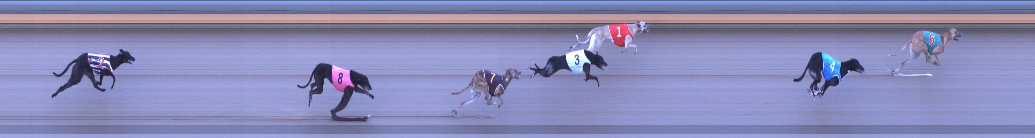 Photo finish for Shepparton Race 1