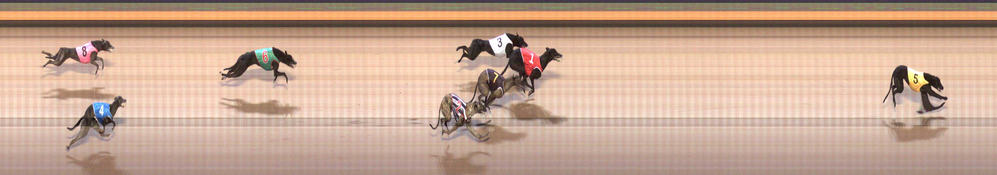 Photo finish for Shepparton Race 3