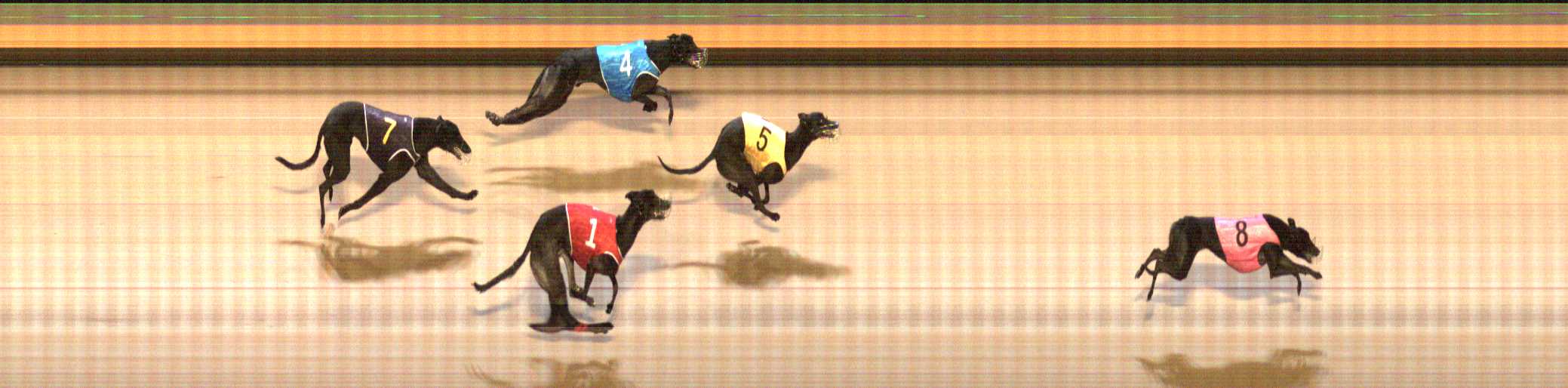 Photo finish for Shepparton Race 4