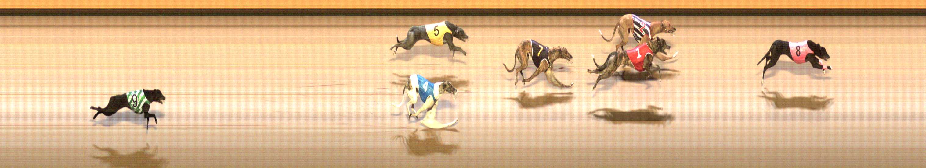 Photo finish for Shepparton Race 5