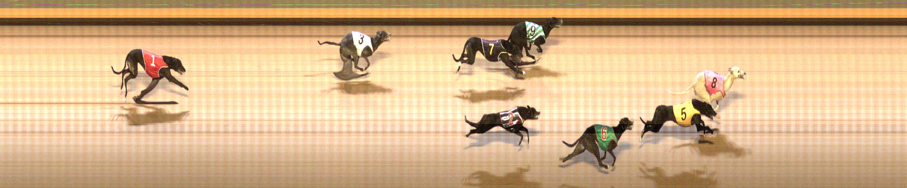 Photo finish for Shepparton Race 7